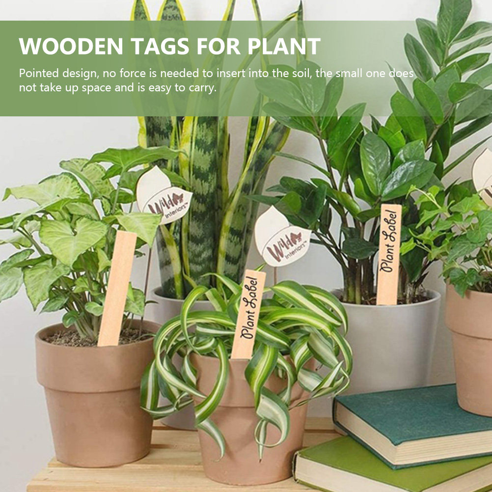Bonsai Garden Nursery - 50Pcs Plant Labels Wooden Plant Tags