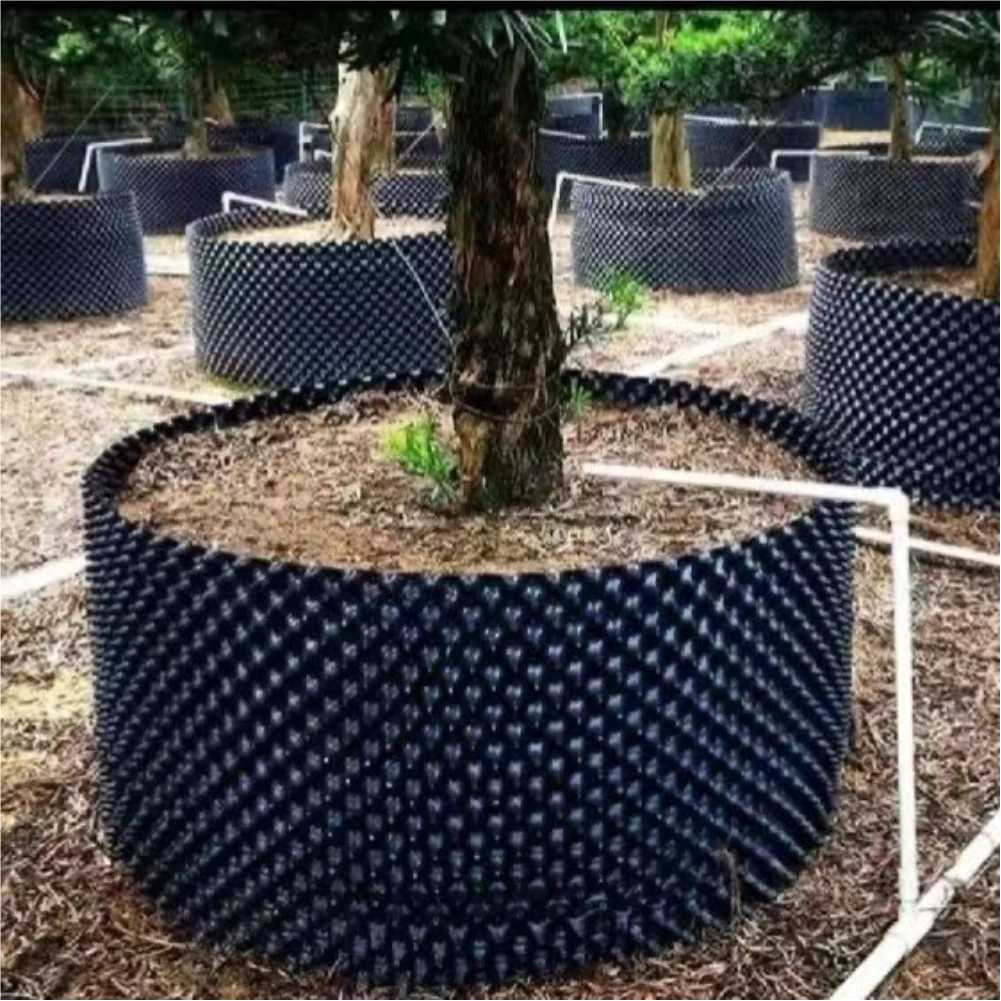 Bonsai Garden Nursery - Grow Container Garden Tree Bonsai Transplant