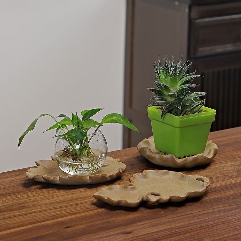 Brazilian Wood Hydroponic Plan - Drip Tray Saucer recension och pris