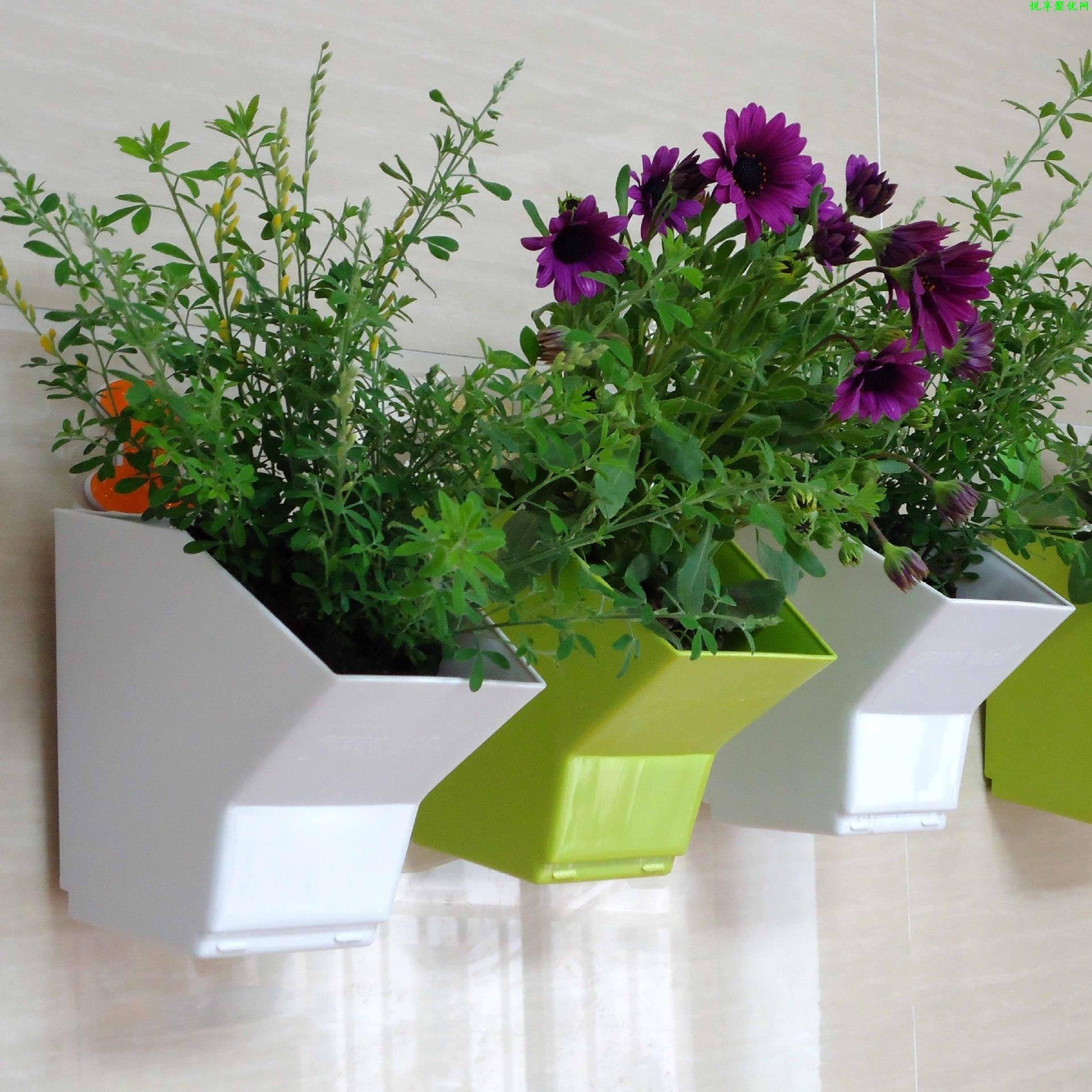 2 pcs Wall Hanging Planter Flo - Bonsai Vertical Garden recension och pris