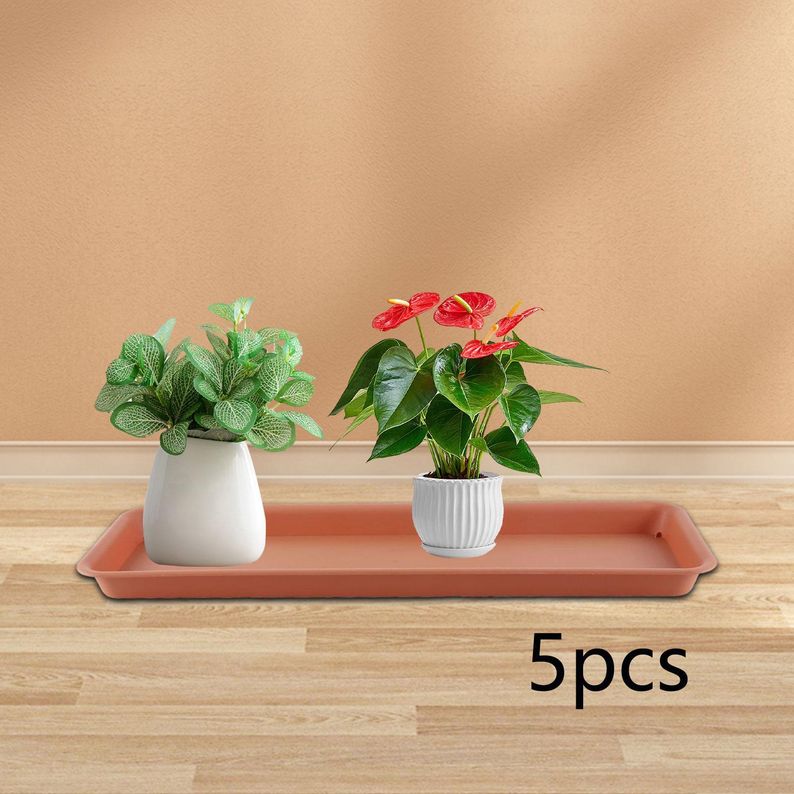 High Flower Pot for the Terrac - Drip Tray Saucer recension och pris