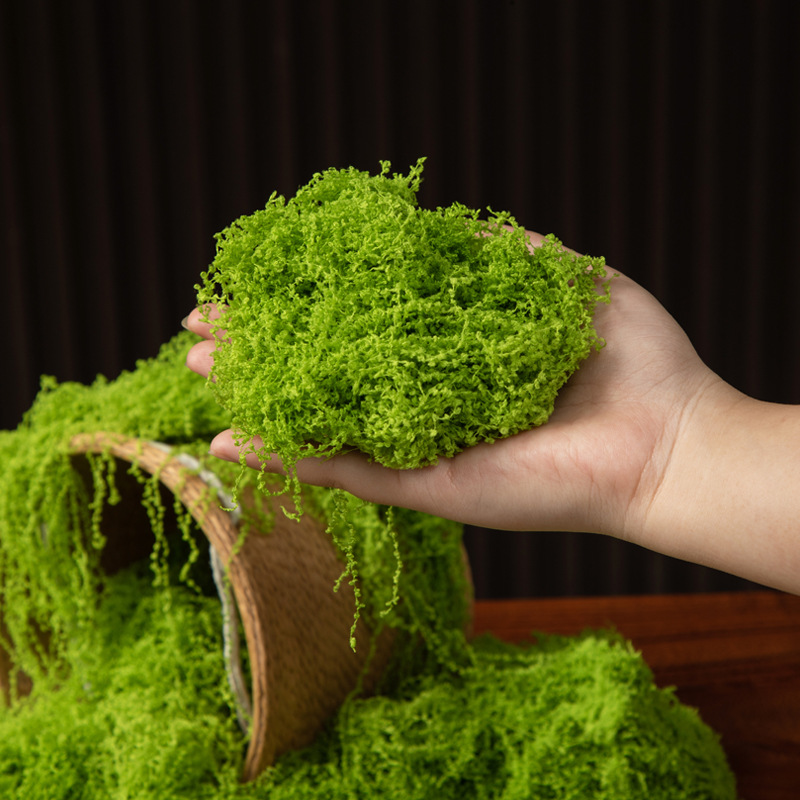 200g Eternal Life Moss DIY Cra - Bonsai Garden Ideas recension och pris