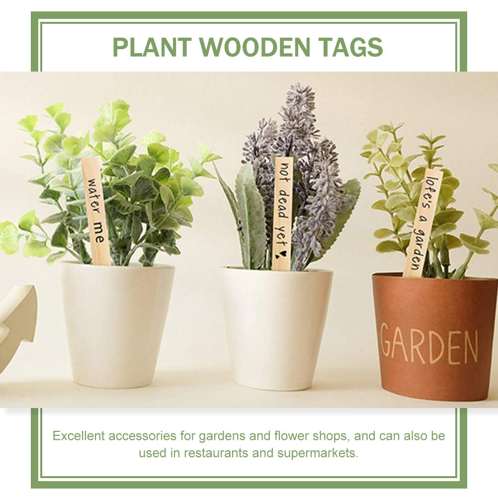 50Pcs Plant Labels Wooden Plan - Bonsai Garden Nursery recension och pris