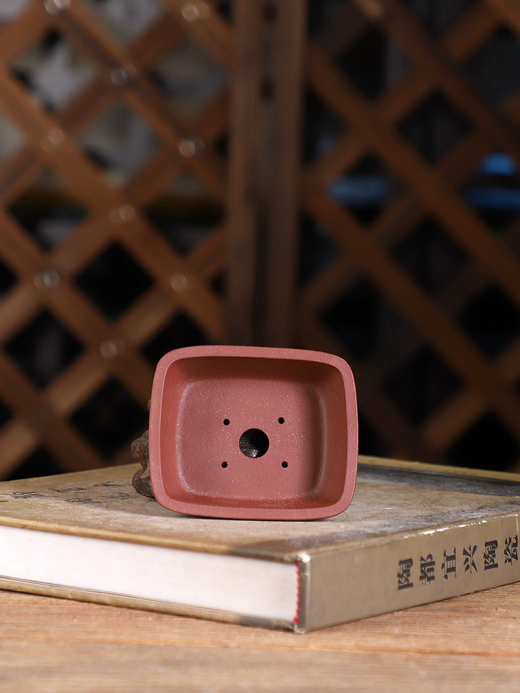 Purple Sand Round Angle Rectan - Bonsai Garden Chinese Garden recension och pris