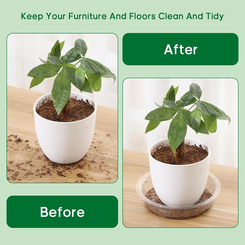 40-Count Clear Plant Saucers - - Drip Tray Saucer recension och pris