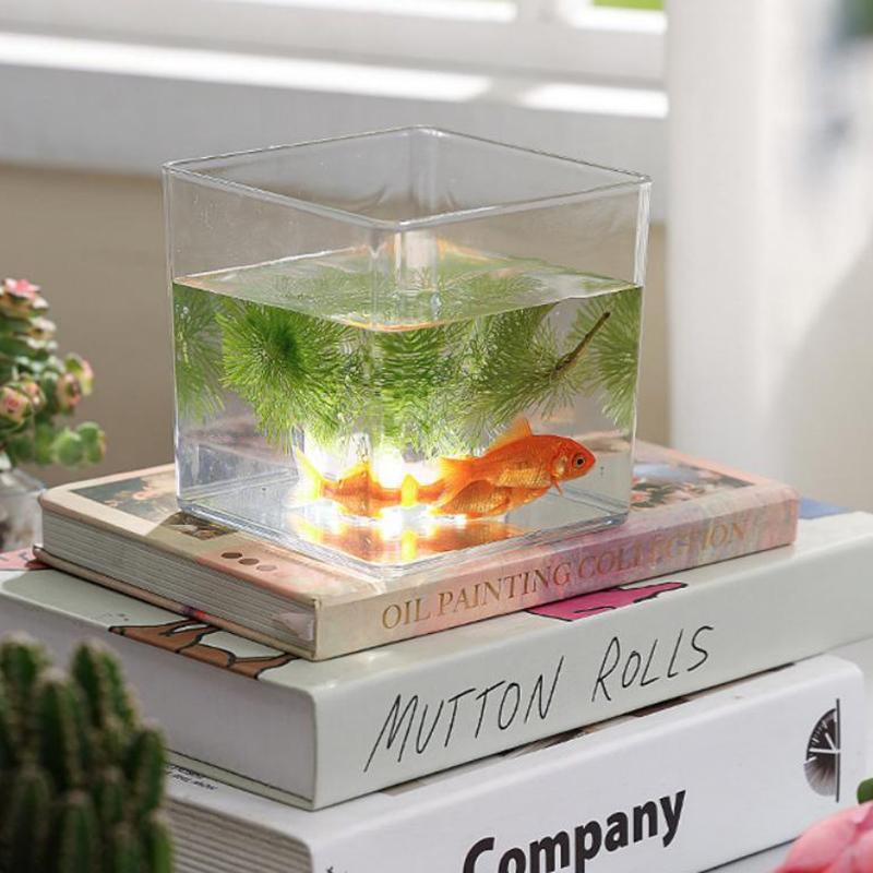 Square/Round Transparent Acryl - Bonsai Garden Nursery recension och pris