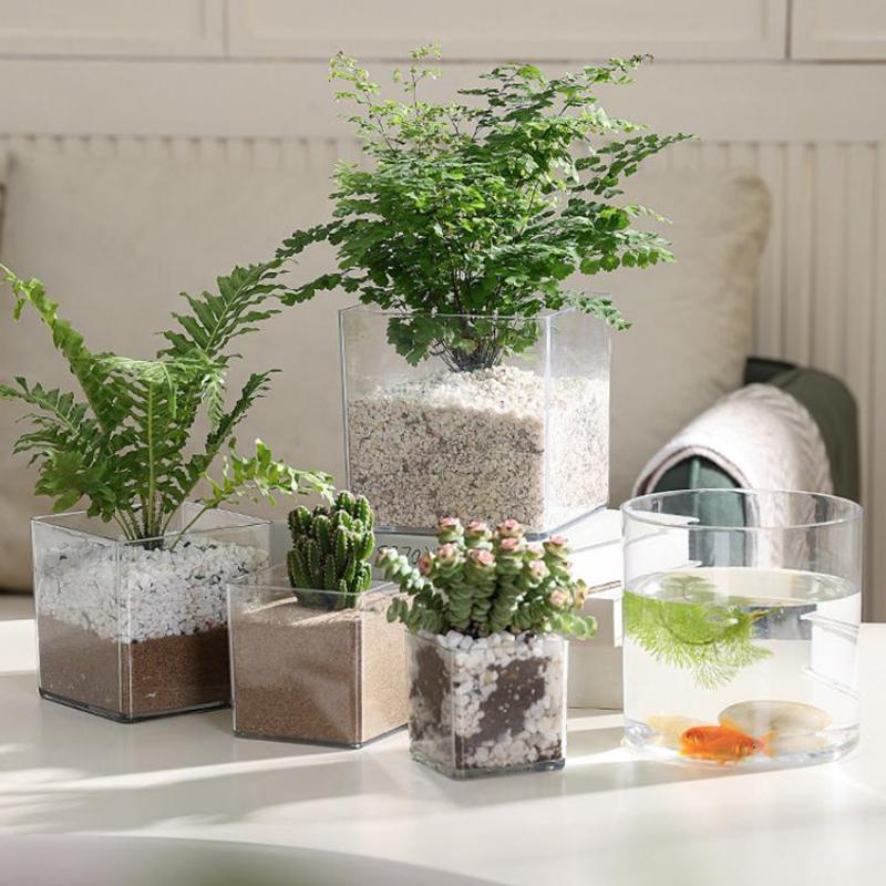 Square/Round Transparent Acryl - Bonsai Garden Nursery recension och pris