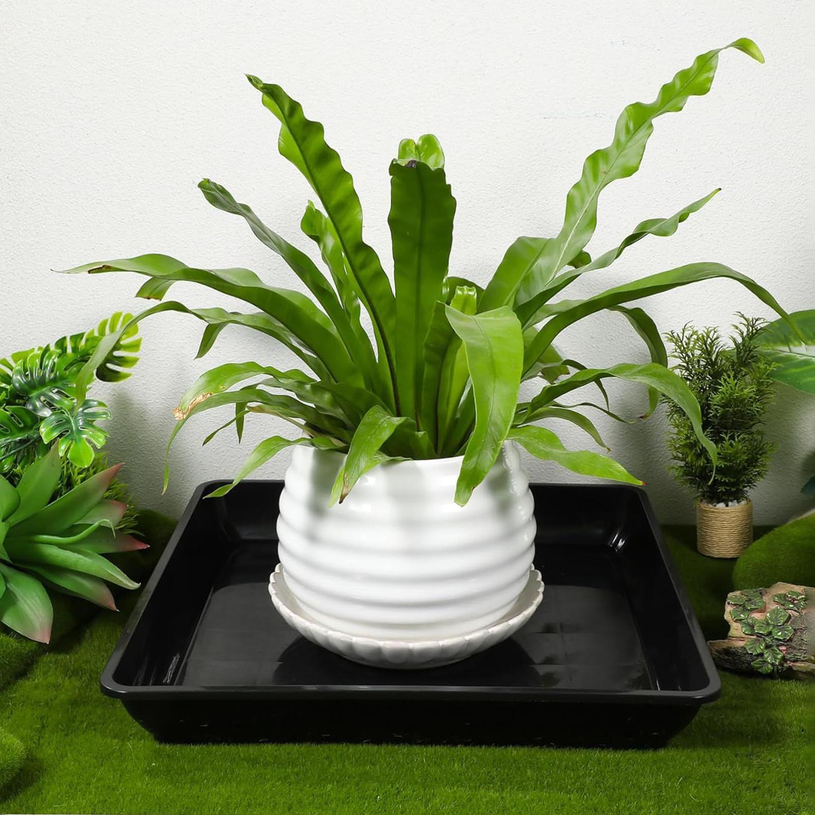 2 Pcs Flower Pot Base Thickene - Drip Tray Saucer recension och pris