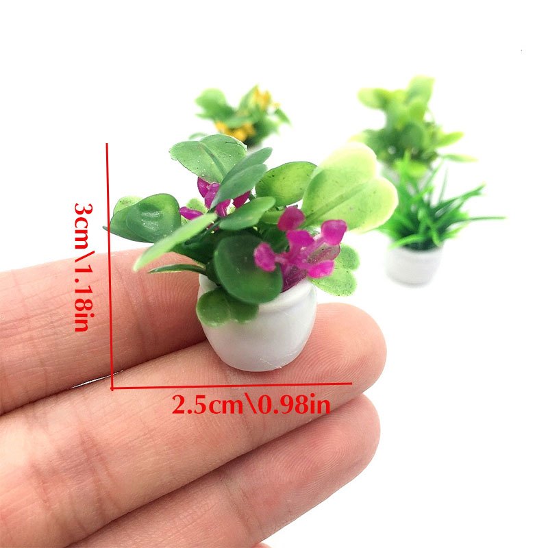 Dollhouse Plant, Miniature Bon - Bonsai Garden Ideas recension och pris