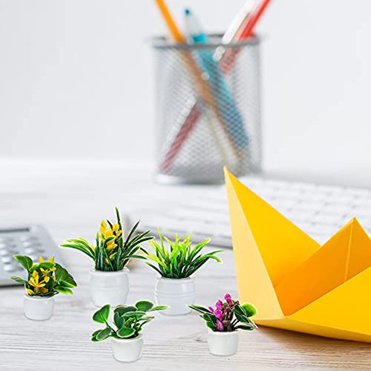 Dollhouse Plant, Miniature Bon - Bonsai Garden Ideas recension och pris