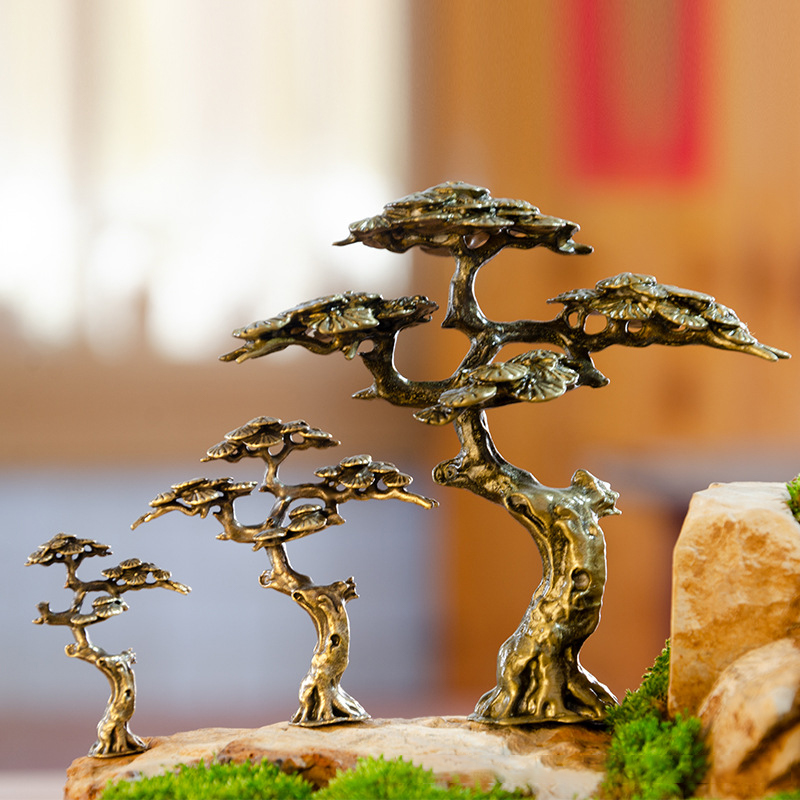 Mini Welcome Pine Miniature Fi - Bonsai Garden Ideas recension och pris