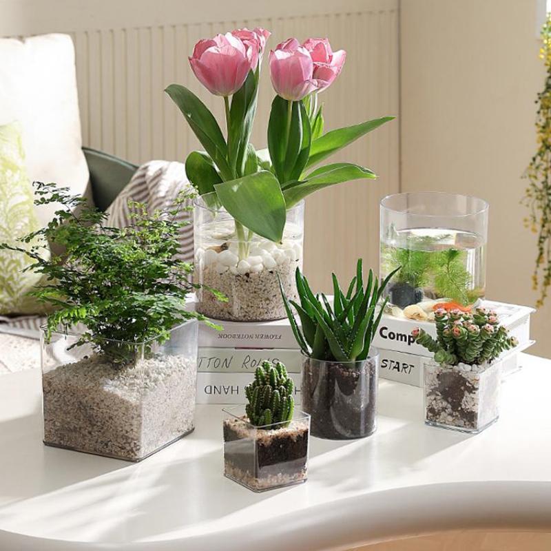 Square Round Transparent Acryl - Bonsai Garden Nursery recension och pris