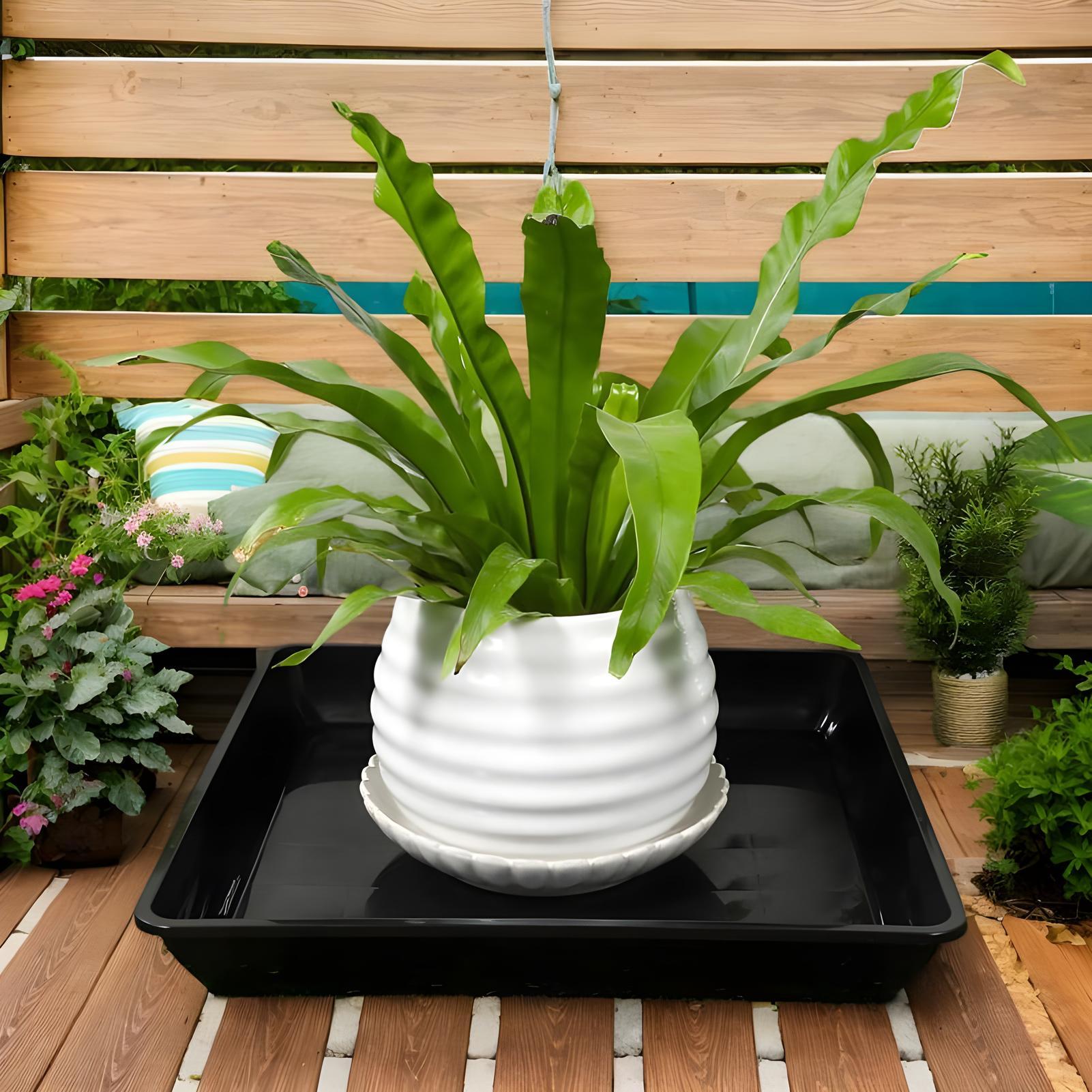 Plant Trays for Pots 2 Pieces  - Drip Tray Saucer recension och pris