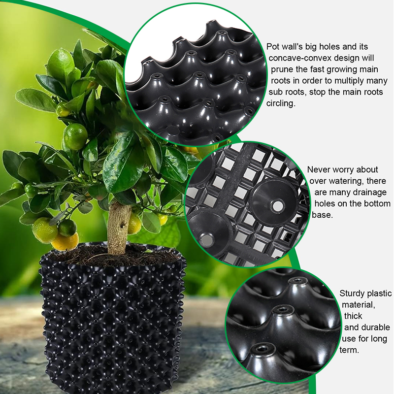 Pruning Nursery  Trainer Fast  - Bonsai Garden Nursery recension och pris